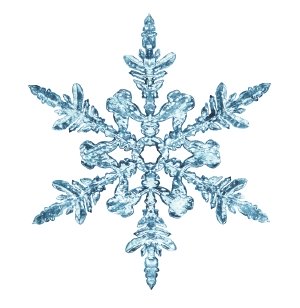 iStock-Snowflake1.jpg